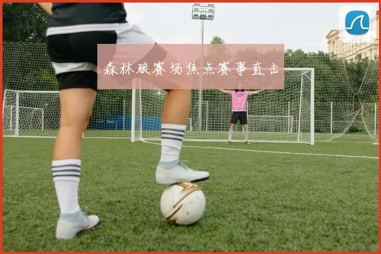 森林狼赛场焦点赛事直击