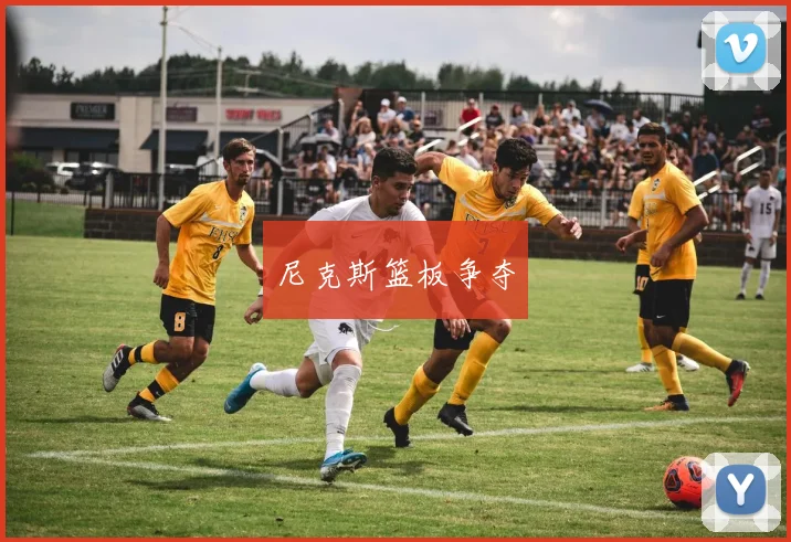 尼克斯篮板争夺