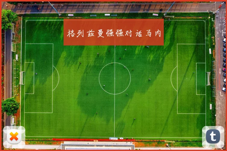 格列兹曼强强对话马内
