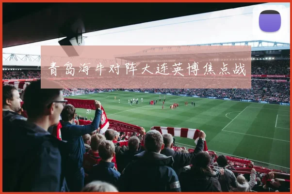 青岛海牛对阵大连英博焦点战