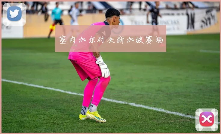 塞内加尔对决新加坡赛场