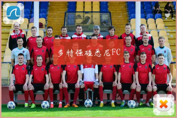 多特强碰悉尼FC