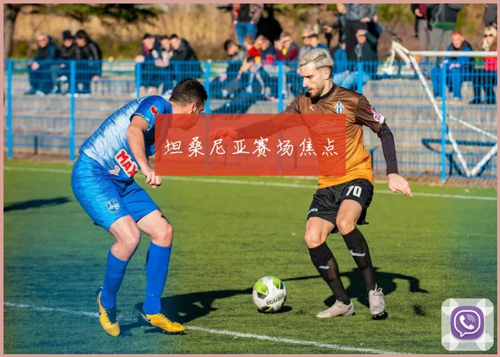 坦桑尼亚赛场焦点