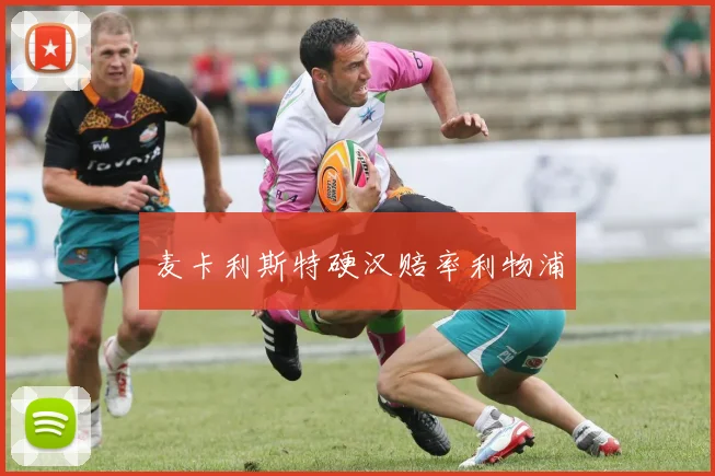 麦卡利斯特硬汉赔率利物浦