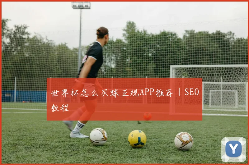 世界杯怎么买球正规APP推荐｜SEO教程