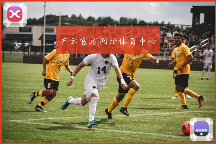 开云官方网址体育中心