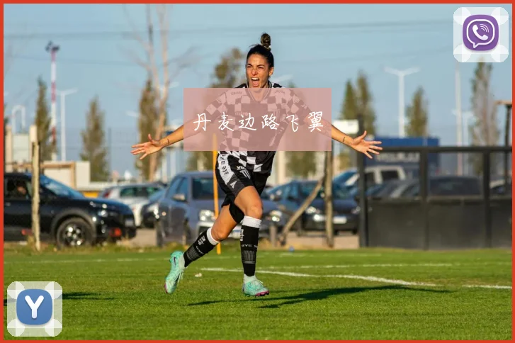 丹麦边路飞翼