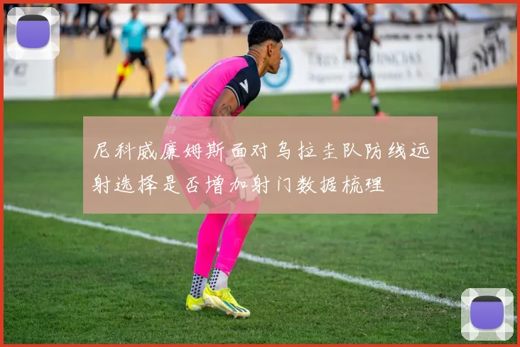 尼科威廉姆斯面对乌拉圭队防线远射选择是否增加射门数据梳理