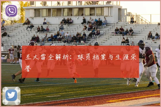 王大雷全解析：球员档案与生涯荣誉