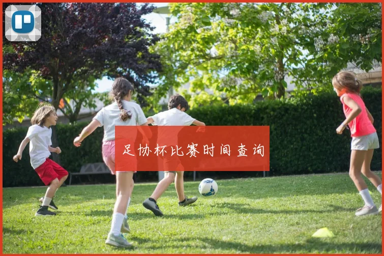 足协杯比赛时间查询